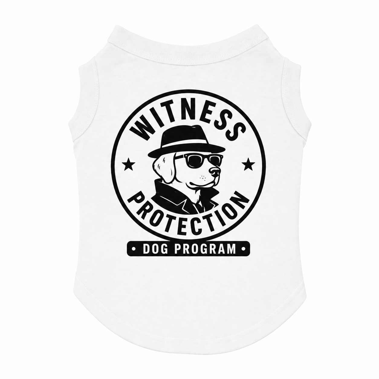 Witness Protection