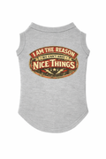 I Am The Reason We Don't Have Nice Things