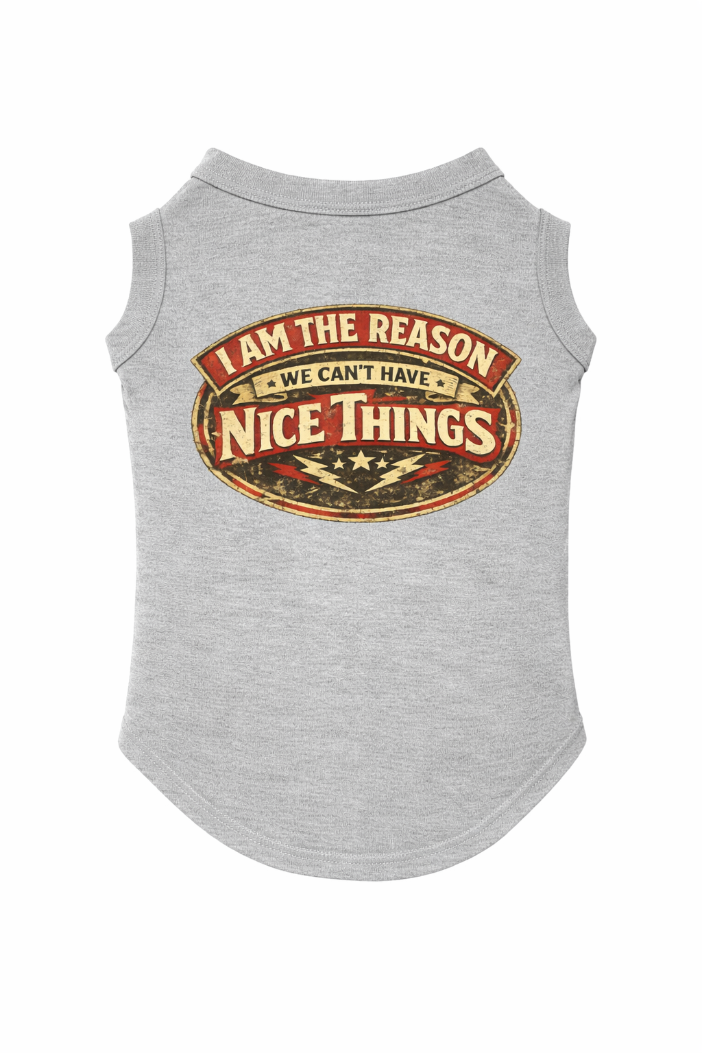 I Am The Reason We Don't Have Nice Things